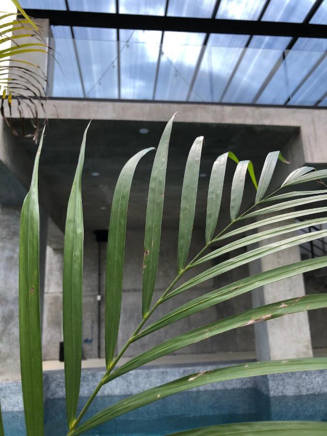 Hotel Suites La Negra Boutiqueメリダ エクステリア 写真